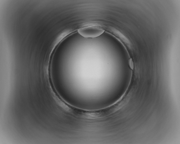 X0000115771330200911201211