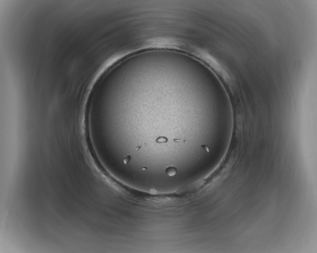 X0000115771331200911201211