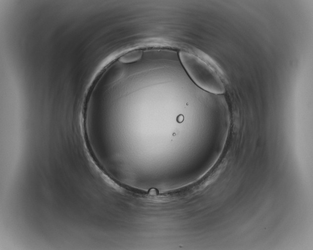 X0000115771334200911201211