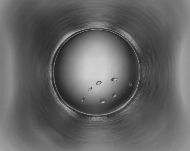 X0000115771339200911201211