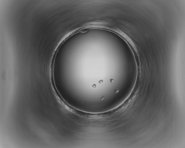 X0000115771341200911201211