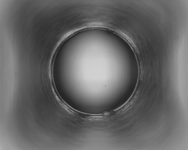 X0000115771342200911201211