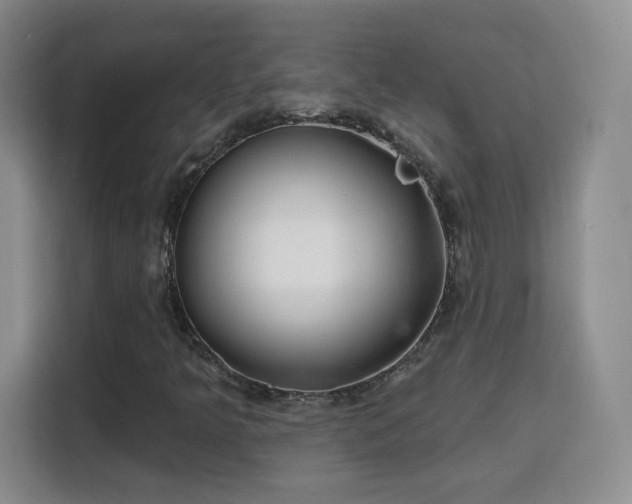 X0000115771349200911201210