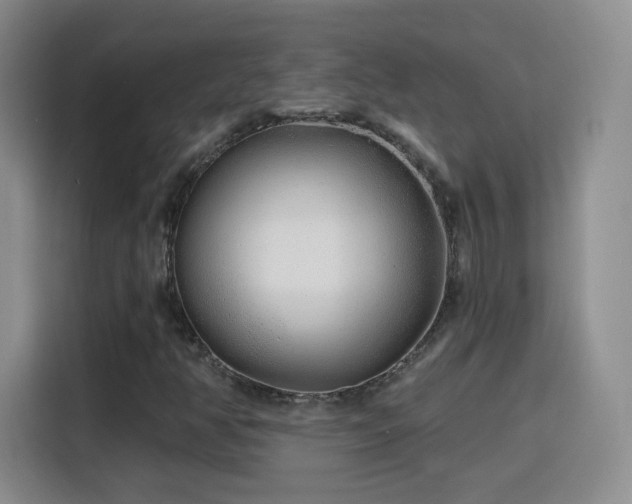 X0000115771350200911201210