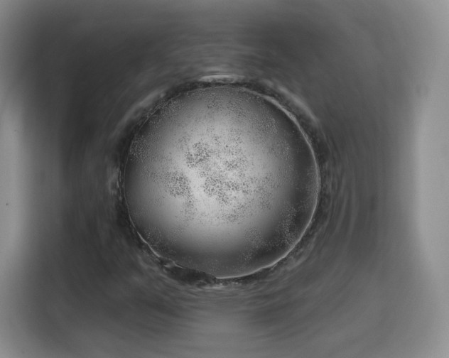 X0000115771351200911201210