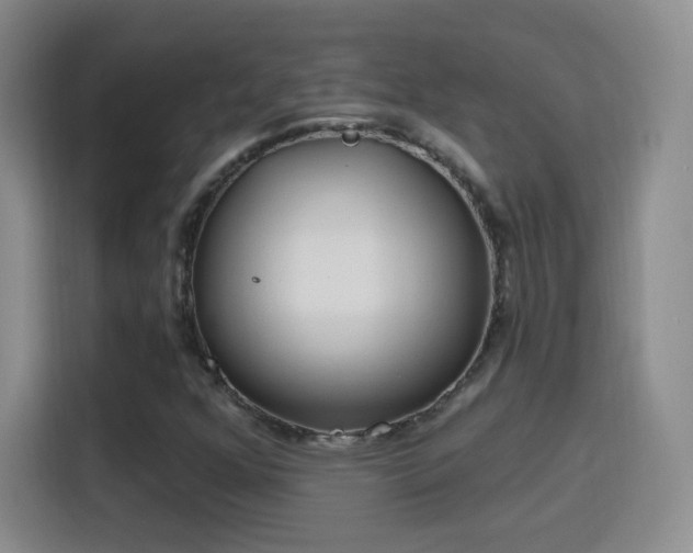 X0000115771352200911201210