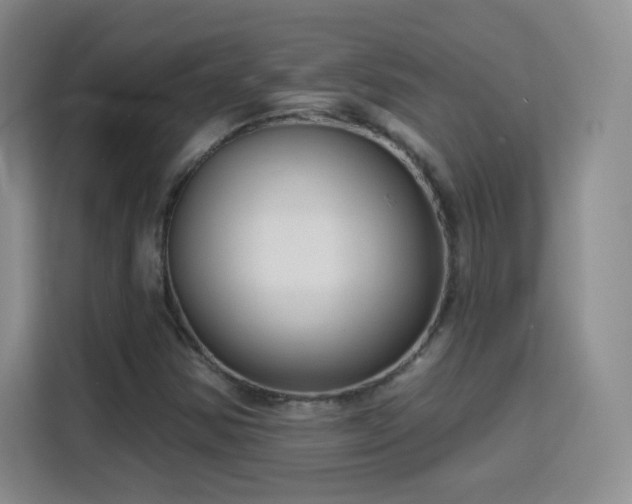 X0000115771354200911201210