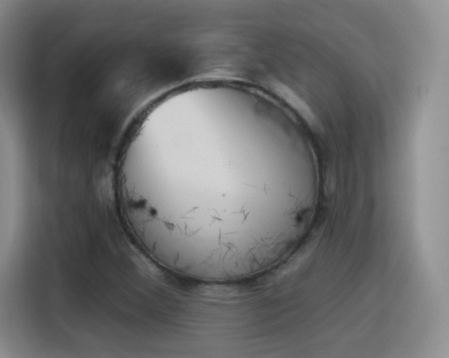 X0000115771356200911201210