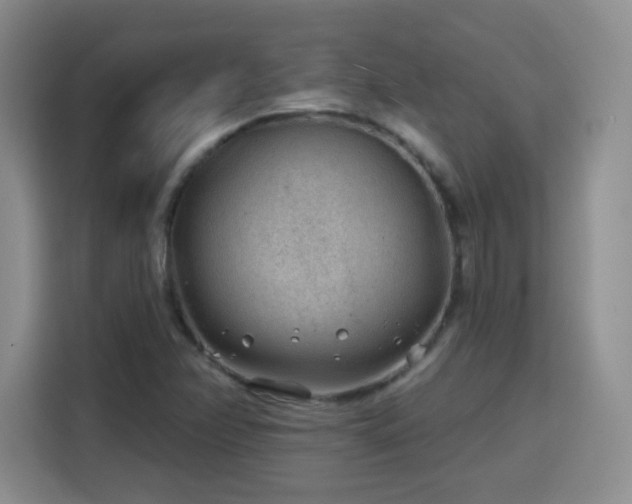 X0000115771358200911201210