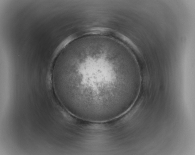 X0000115771362200911201210