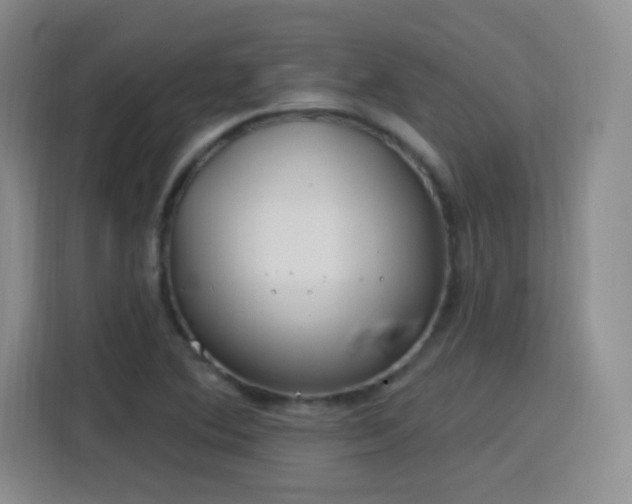 X0000115771364200911201210