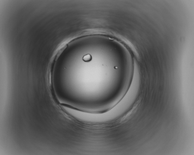 X0000115771365200911201210