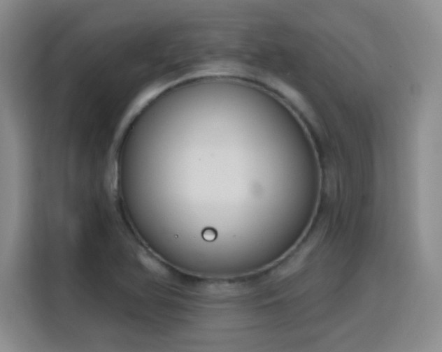 X0000115771366200911201210