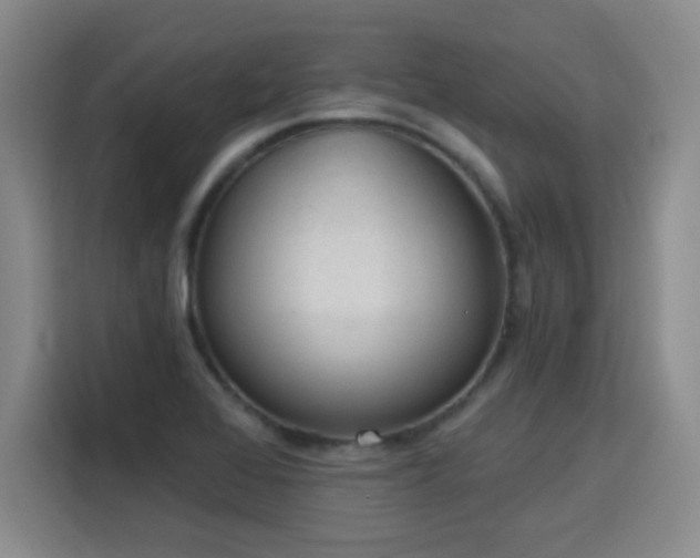 X0000115771368200911201210