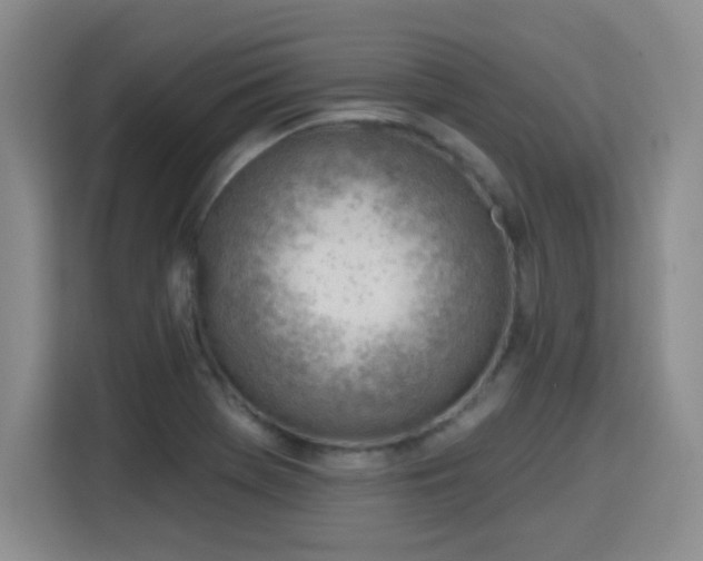X0000115771369200911201210