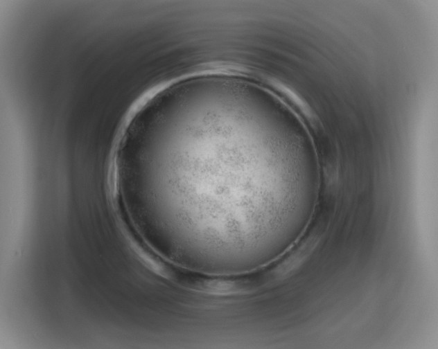 X0000115771371200911201210