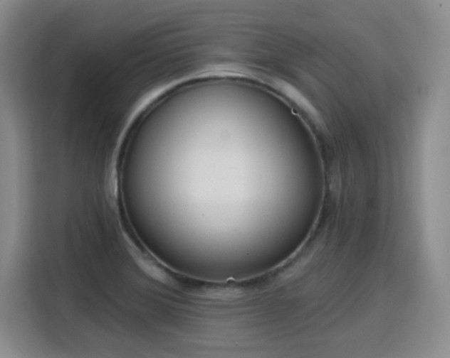 X0000115771372200911201210