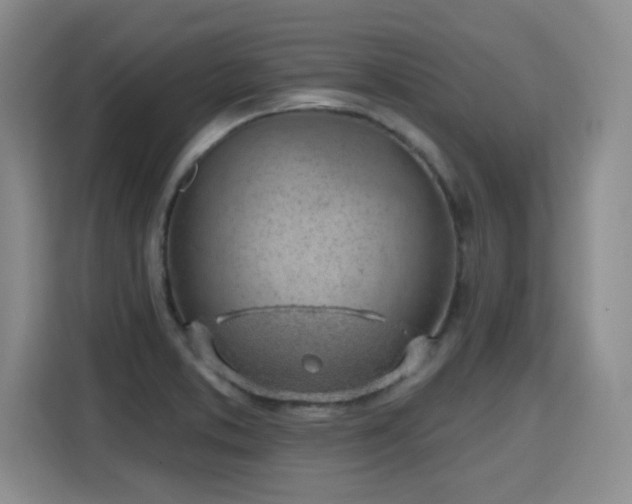 X0000115771373200911201210