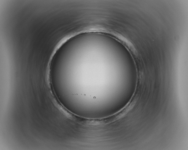X0000115771374200911201210