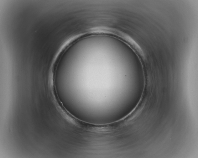 X0000115771376200911201210