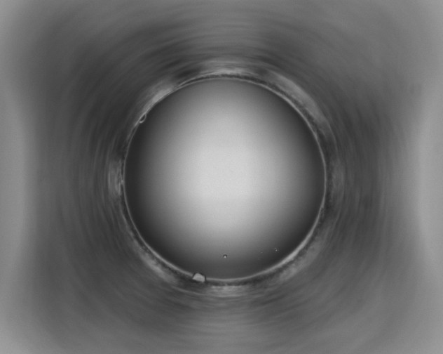 X0000115771377200911201210