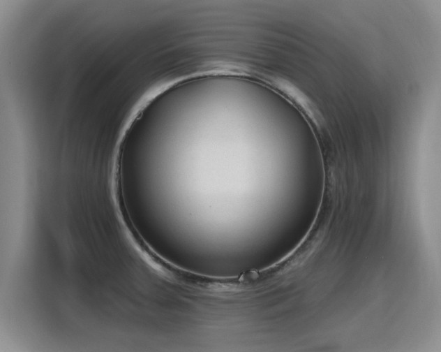 X0000115771379200911201210