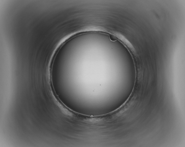 X0000115771380200911201210