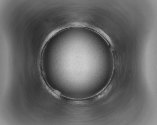 X0000115771381200911201210