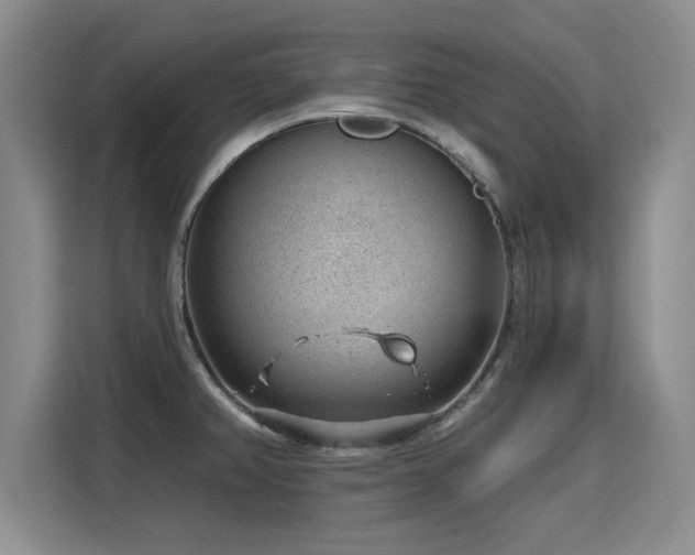 X0000115771382200911201210