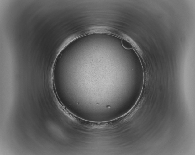 X0000115771386200911201210