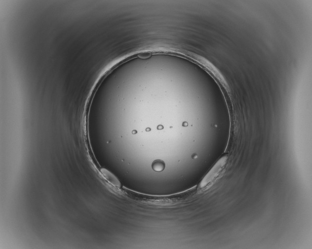 X0000115771388200911201210