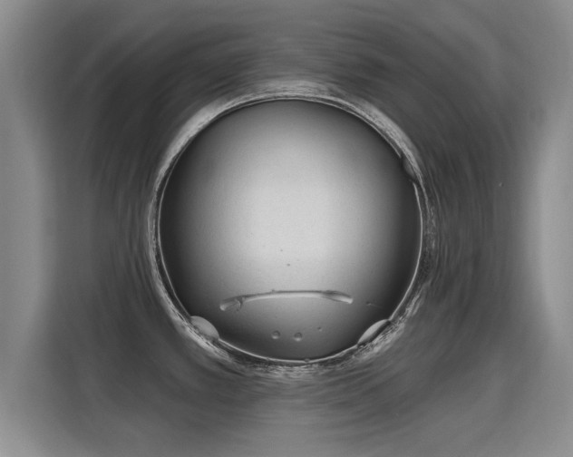 X0000115771389200911201210