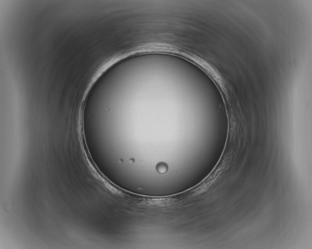 X0000115771390200911201210