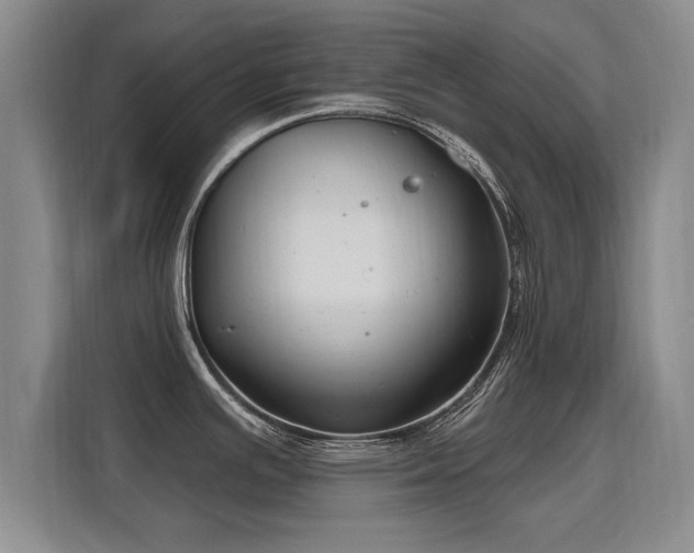 X0000115771391200911201210