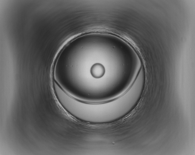 X0000115771392200911201210