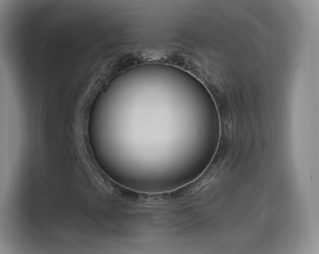 X0000115771393200911201209