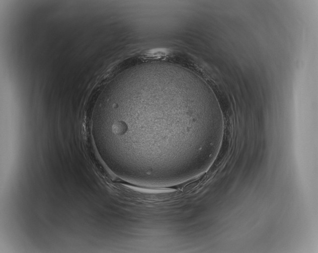 X0000115771394200911201209