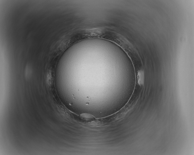 X0000115771395200911201209