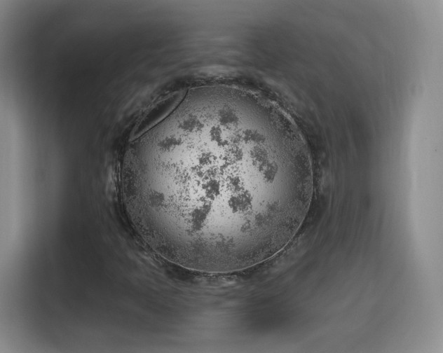 X0000115771397200911201209
