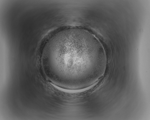 X0000115771398200911201209