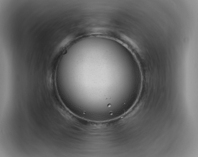 X0000115771403200911201209