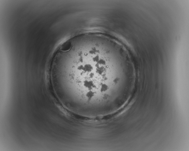 X0000115771405200911201209
