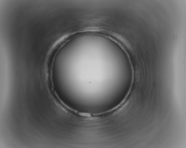 X0000115771406200911201209