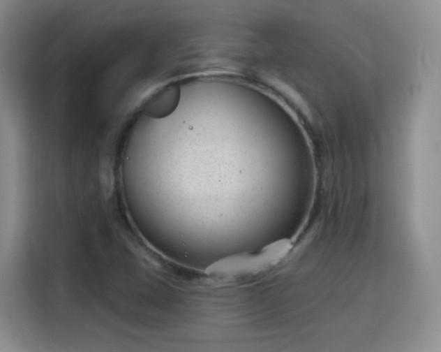 X0000115771407200911201209