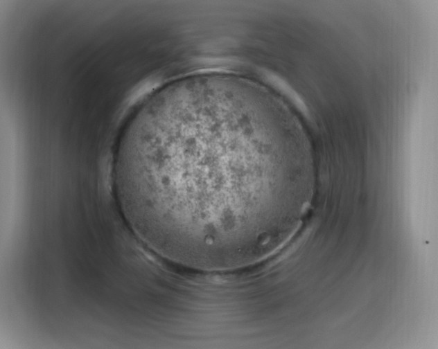 X0000115771411200911201209