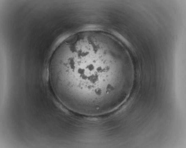 X0000115771413200911201209