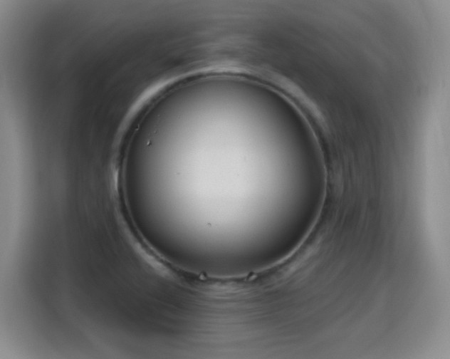 X0000115771416200911201209