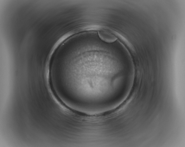 X0000115771418200911201209