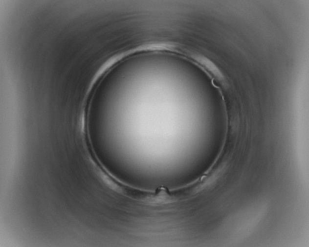 X0000115771420200911201209
