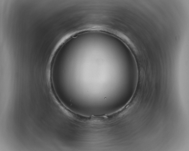 X0000115771424200911201209